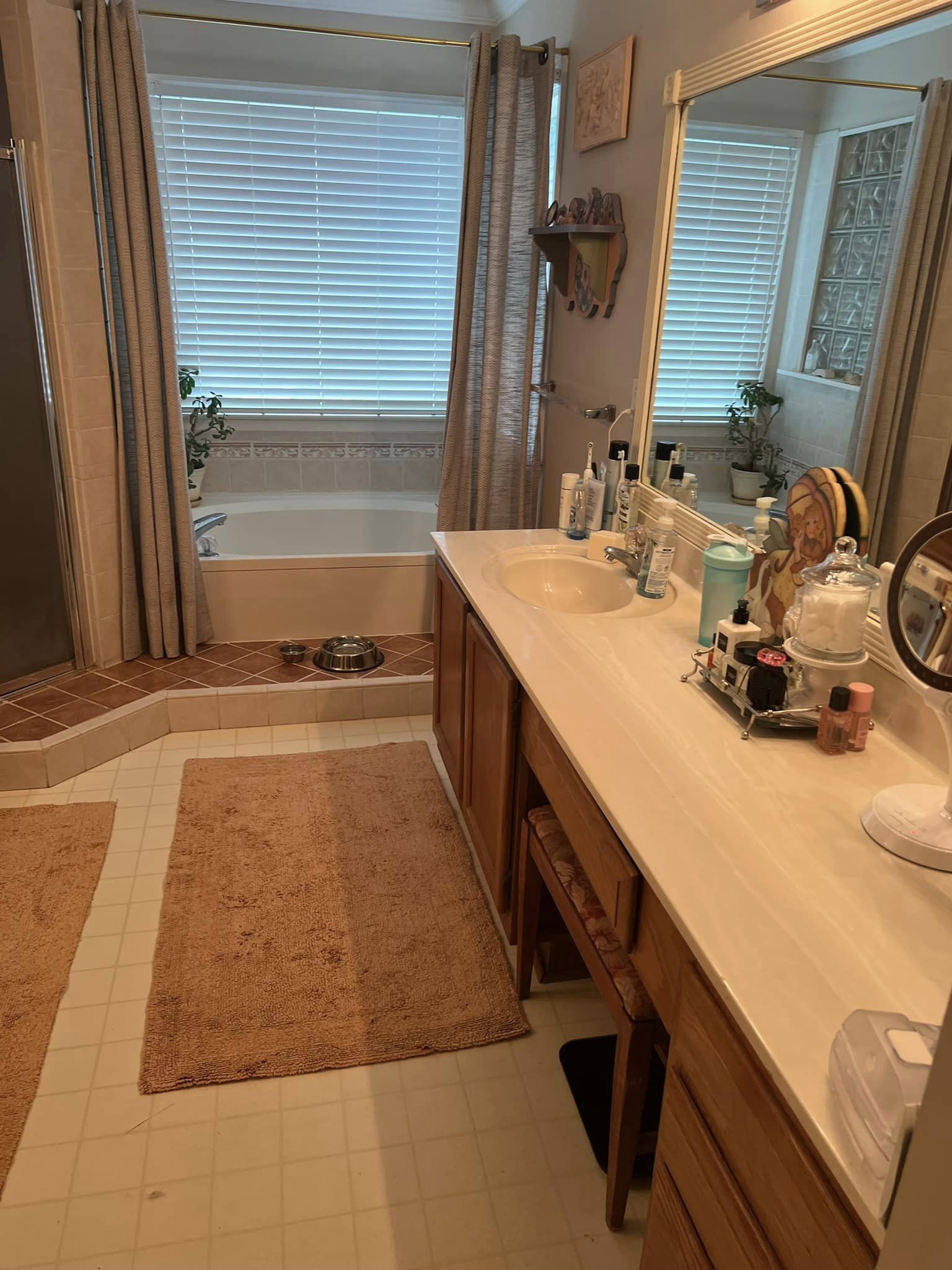 Bath Remodel Before